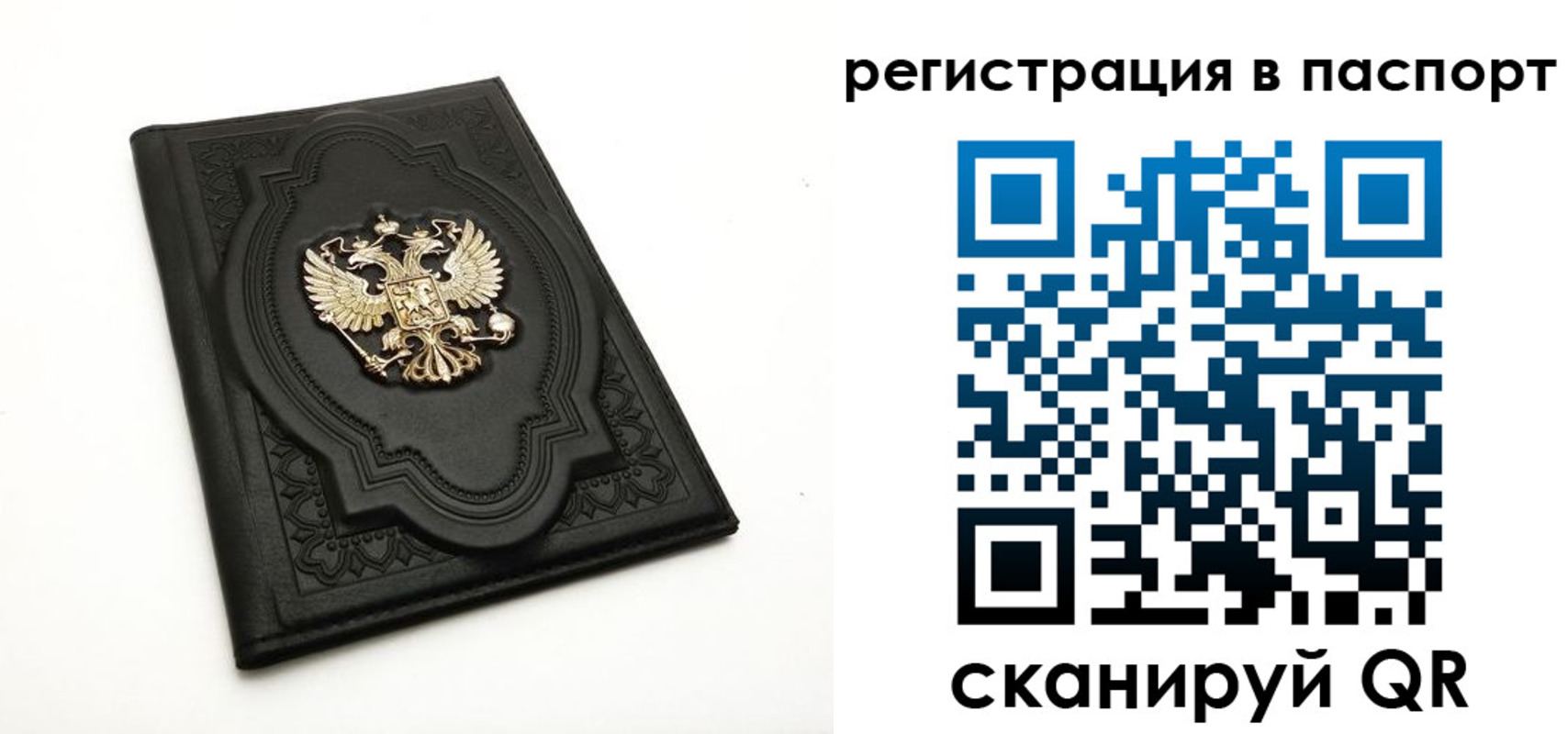 прописка регистрация в Луге