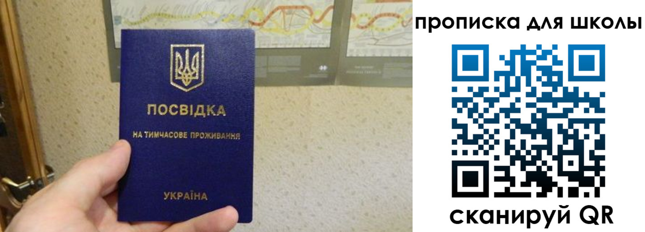 найти адрес прописки в Луге